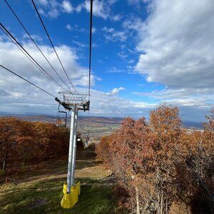 Meet your Posher, Ophelia